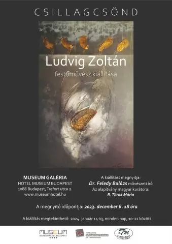 Ludvig Zoltán Mostra Artistica